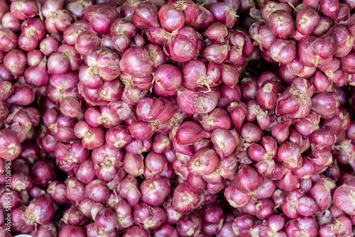 Group Shallot Red onion in market