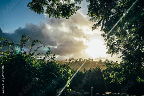 Tranquil sunset over trees Kiama Australia