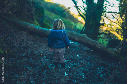 Fototapeta Naklejka Na Ścianę i Meble -  Little toddler standing in the mud by a fallen tree in the woods