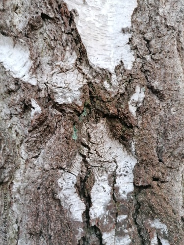 Natur.