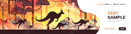 kangaroo running from forest fires in australia animals dying in wildfire bush fire burning trees natural disaster concept intense orange flames copy space horizontal vector illustration