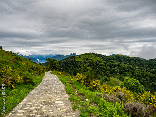 View of Hiking Trail to Monte San Primo