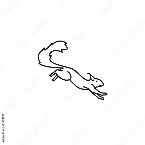 Jumping squirrel vector icon