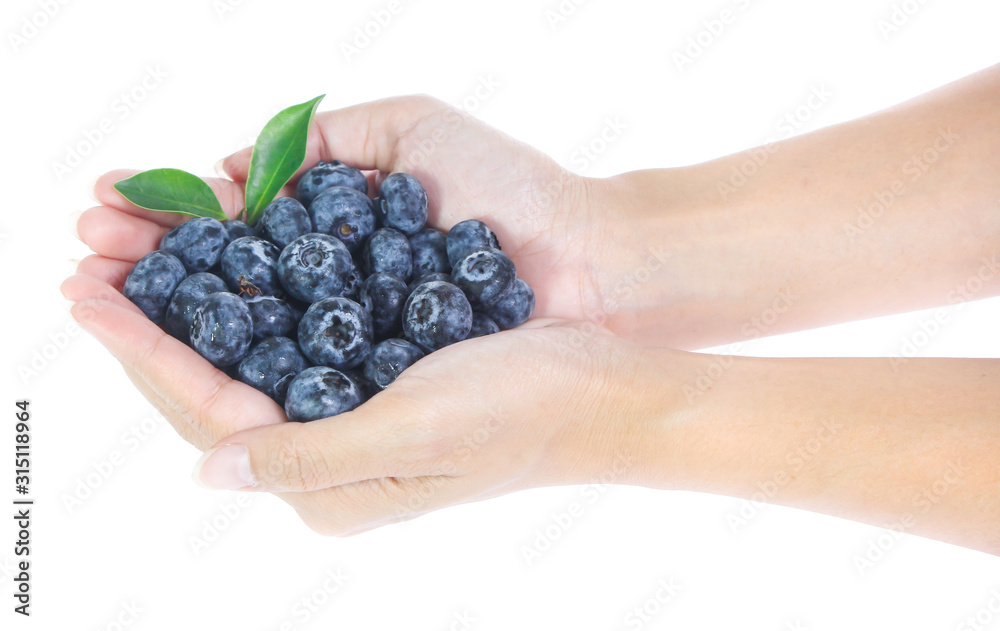 handful of freshly picked blueberries isolated on white handful of freshly picked blueberries isolated on white