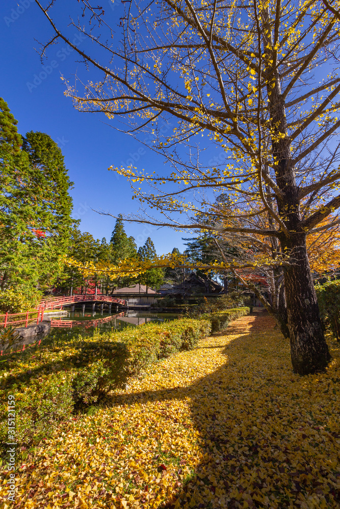 Bridge over pond in Danjogaran temple with maple trees season Autumn colors, at Mount Koya, Japan.