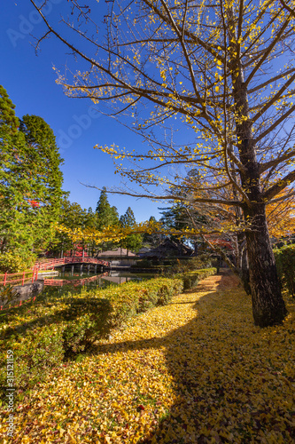 Bridge over pond in Danjogaran temple with maple trees season Autumn colors, at Mount Koya, Japan. photo
