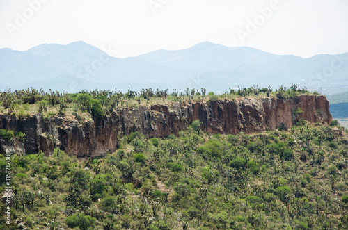 View of sunny Mexican semi-desert landscape