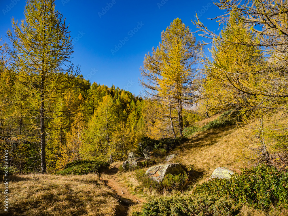 Hiking Path to Crampiolo in Alpe Veglia and Alpe Devero Natural Park