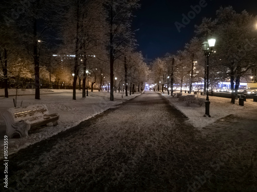 Winter night