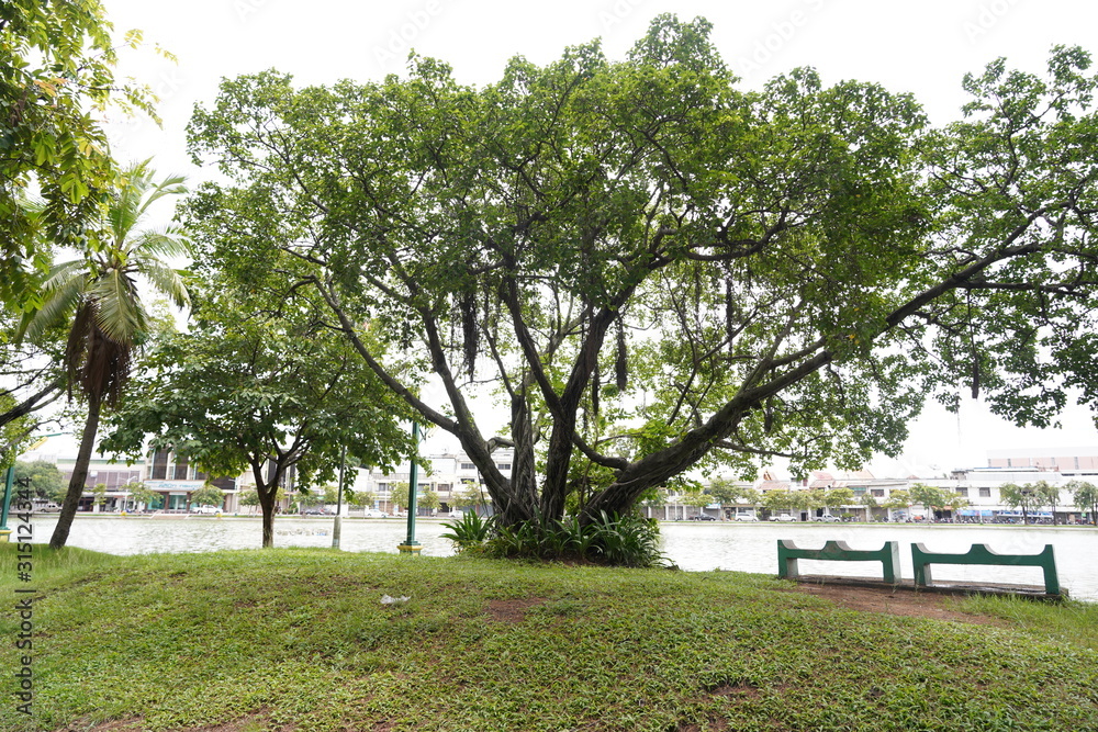 The public park is a place of government, local administrative unit. Make it a recreation place for people in various communities and cities. The public park is a place of government, local administrative unit. Make it a recreation place for people in various communities and cities.