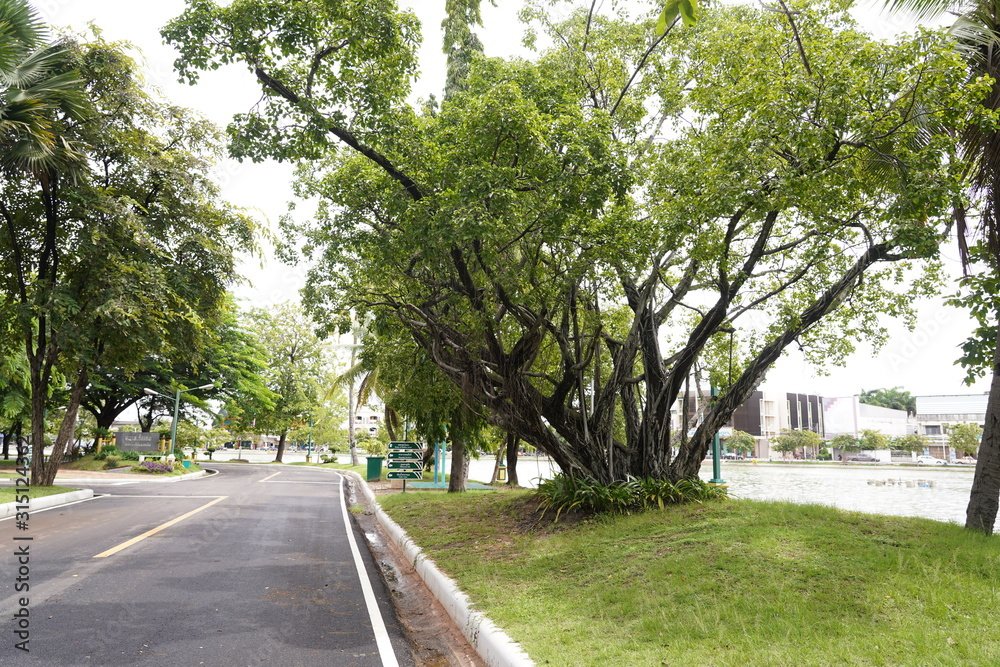 The public park is a place of government, local administrative unit. Make it a recreation place for people in various communities and cities. The public park is a place of government, local administrative unit. Make it a recreation place for people in various communities and cities.