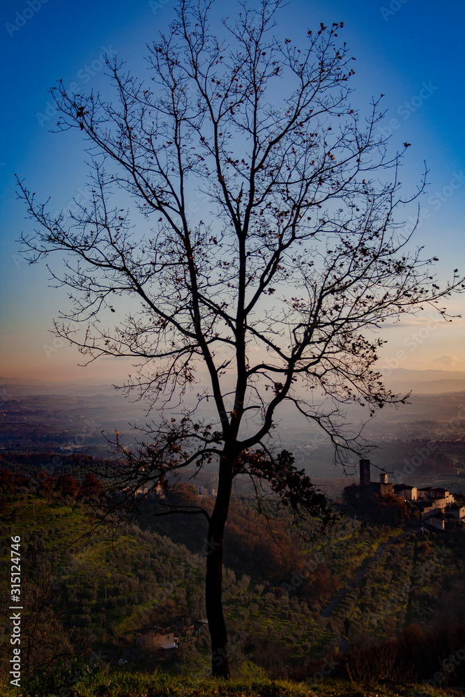 Fototapeta premium Natura