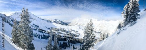 Fotografie, Obraz View of the slopes of Alta ski resort in Utah.