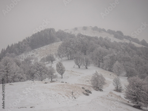 Hiking Path to Monte San Primo in winter