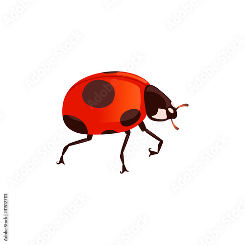 Ladybug with closed shell beetle cartoon bug design flat vector illustration isolated on white background © Alfmaler