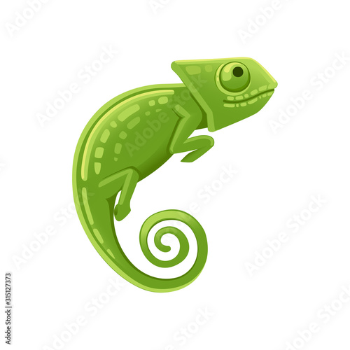 Fototapeta Ślicznej małej zielonej kameleon jaszczurki kreskówki zwierzęcego projekta płaska wektorowa ilustracja odizolowywająca na białym tle
