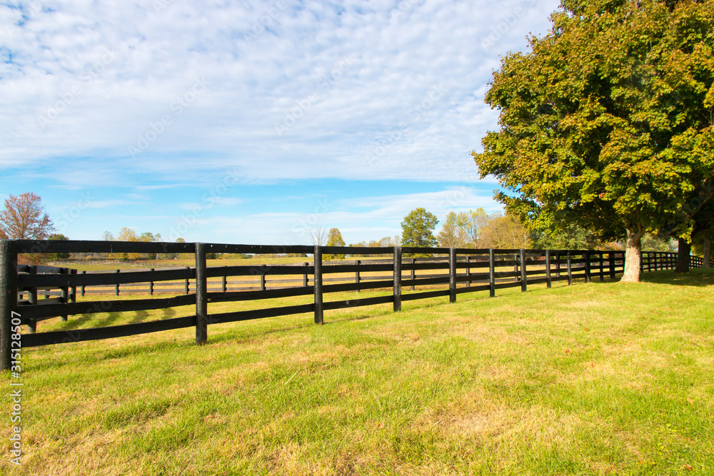 Beautiful country landscape with colorful tree and pastures of horse farms.