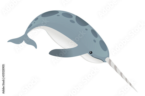 Gray narwhal Monodon monoceros  toothed whale with tusk cartoon sea character design flat vector illustration isolated on white background