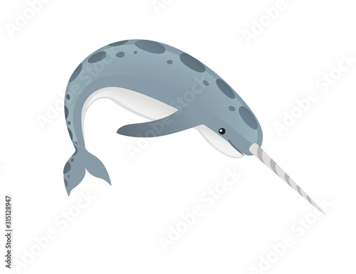 Gray narwhal(Monodon monoceros) toothed whale with tusk cartoon sea character design flat vector illustration isolated on white background