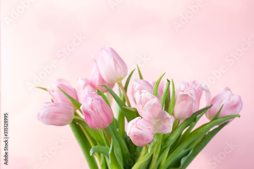 Pink tulips on the pink background. Top view. Flowers composition romantic. Happy woman's day. Mothers Day. Valentine's Day.  © Alina Bokhonets
