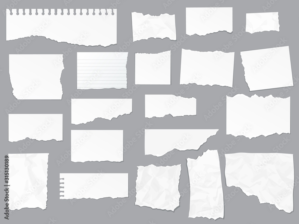 Torn paper notes, vector copybook page sheets, realistic empty piece of paper. Notebook or copybook on lined paper with shred and ripped edges