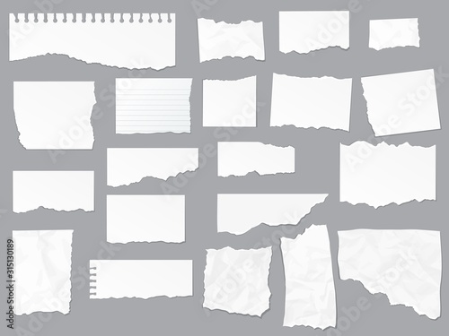 Torn paper notes, vector copybook page sheets, realistic empty piece of paper. Notebook or copybook on lined paper with shred and ripped edges