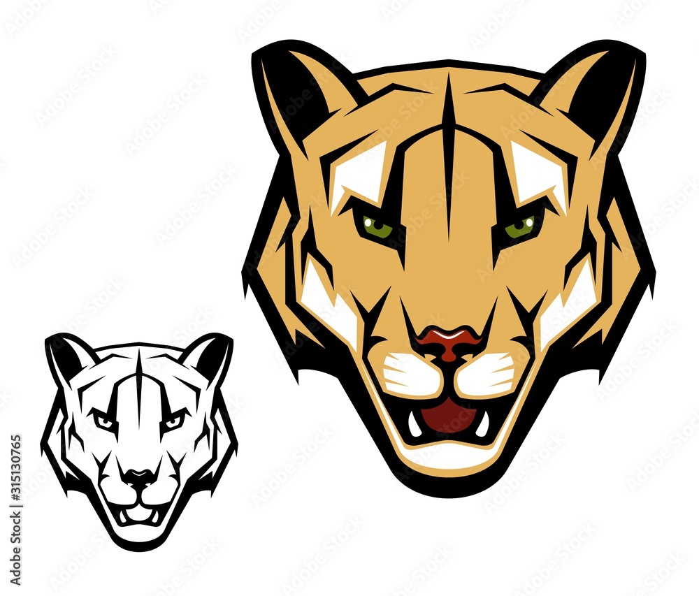 Cougar puma vector mascot with mountain lion head. Wild cat animal with  open mouth, dangerous teeth and angry eyes isolated symbol of African  safari, hunting sport and hunter club design Stock Vector