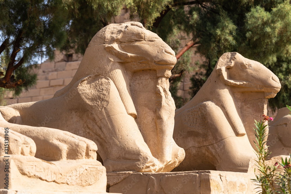 Fototapeta premium Alley of the ram-headed Sphinxes. Karnak Temple, complex of Amun-Re. Luxor, Egypt.