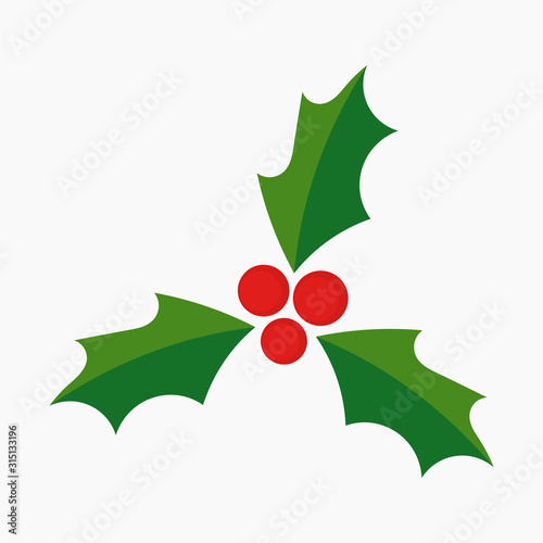 Christmas holly berries symbol icon.