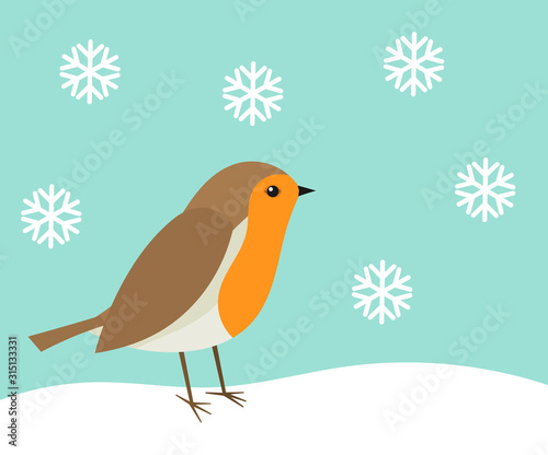 Cute robin bird in winter scenery.