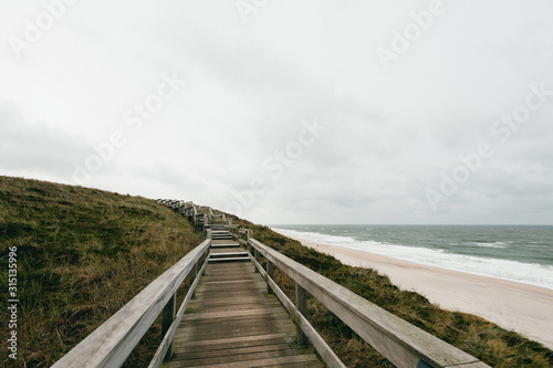 A wooden path through dune grass  Sylt  Germany