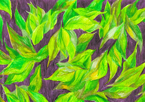 Fototapeta Naklejka Na Ścianę i Meble -  Illustration of bright leaves, green and purple. Exotic island nature. Tropical jungle