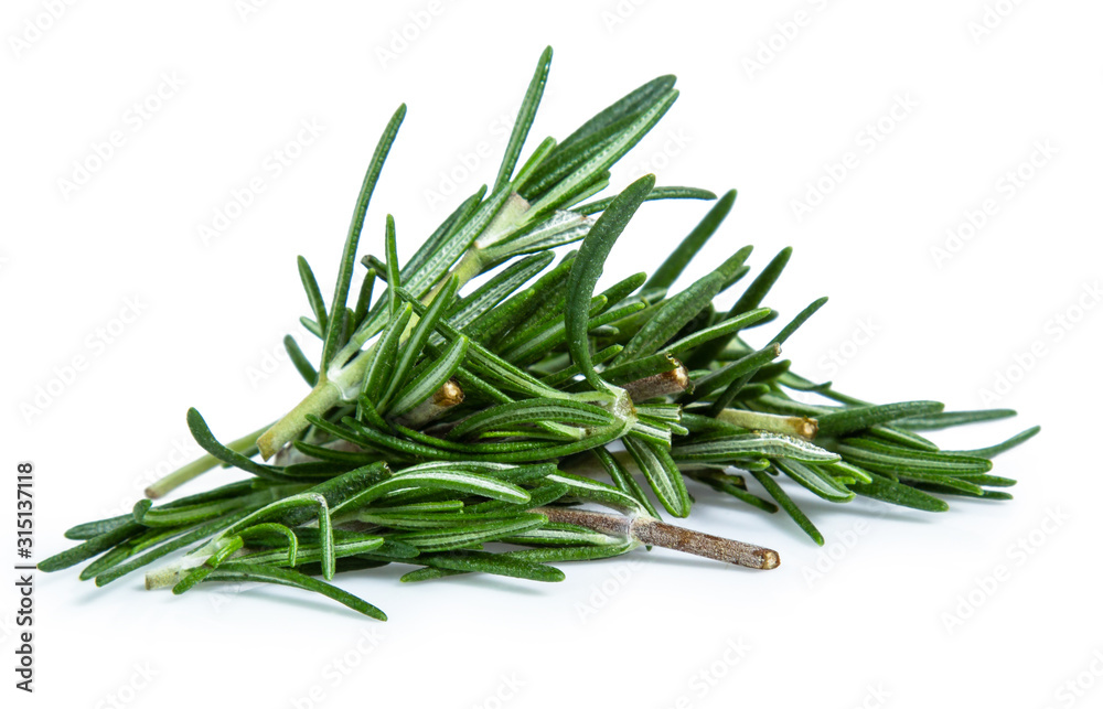 rosemary isolated on white background rosemary isolated on white background