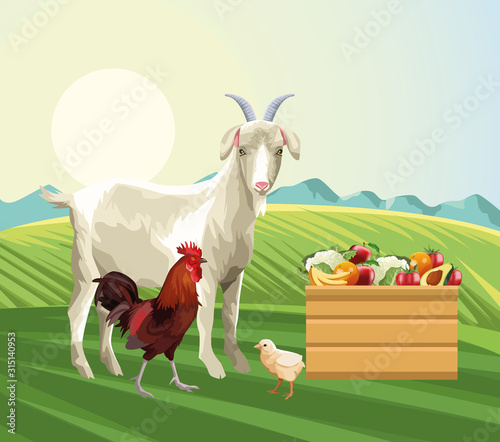 farming goat rooster chick basket with fruits and vegetables