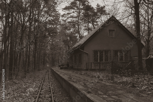 Abandoned Railway Station in Forest, forest, railway station in forest, black and white photo, sepia, old Railroad tracks in the forest