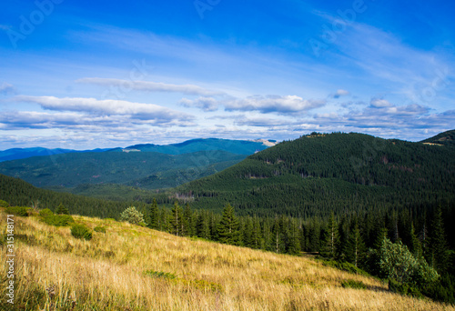 Colorful mountain landscape in the summer mountains. Large hills with blue sky. © Payllik