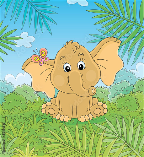 Little baby elephant sittin...