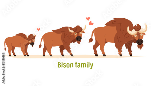 Bison family Mom, dad and calf. Flat vector illustration isolated on white background. Children's illustrations