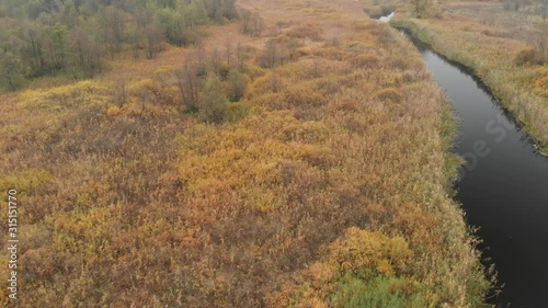 Autumn Landscape With Outskirts Of the Village., Dry Grass, Aerial Shot Of Swamp.Morning Fog