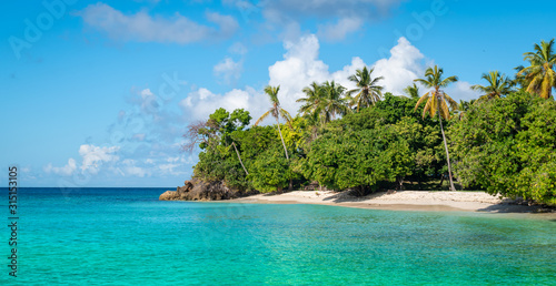 Panoramic landscape with white sand beach and palm trees on tropical Caribbean Island of the Dominican Republic.