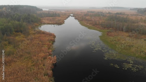 Autumn Landscape With Outskirts Of the Village., Dry Grass, Aerial Shot Of Swamp.Morning Fog