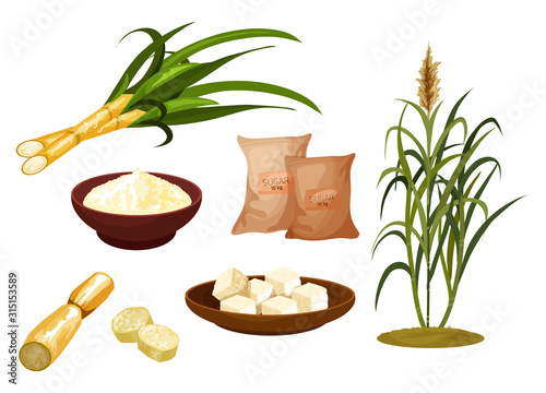 Sugar cane isolated icons. Set of sugar cube