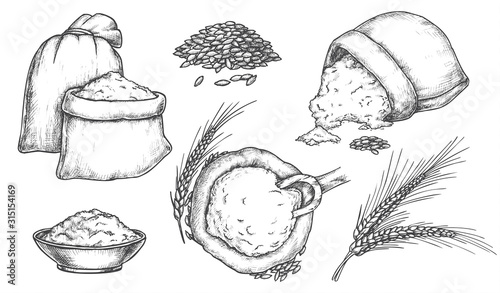 Set of isolated sketch of wheat grain and spikes