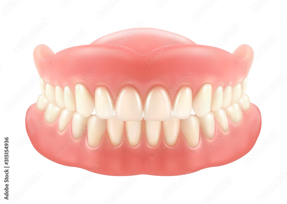 Dental jaw or dentures, false teeth with incisors Dental jaw or dentures, false teeth with incisors