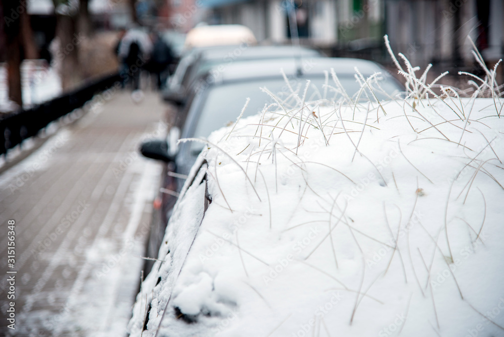 The car is covered with snow and a mysterious hairstyle from the hairdresser's nature from the roots of fallen leaves