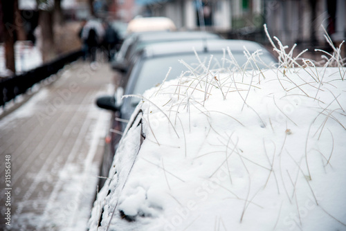 Obraz na płótnie The car is covered with snow and a mysterious hairstyle from the hairdresser's nature from the roots of fallen leaves w salonie