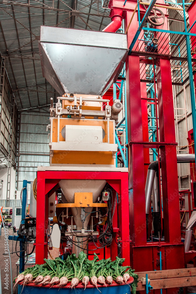 Sugar beet making equipment on a sugar mill elevator