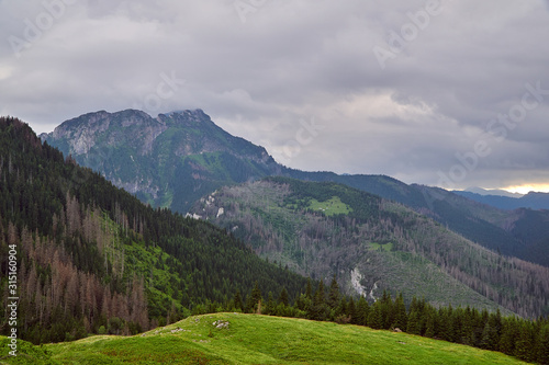 Grassy valley and mountain peaks with limestone rocks in the Tatry mountains in Poland.