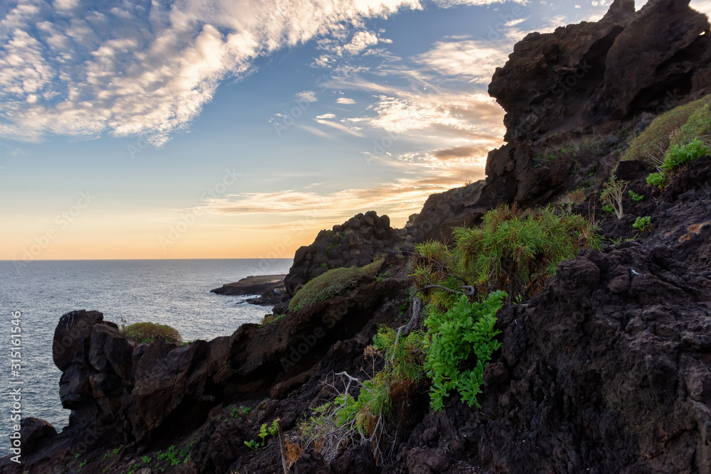  Evening on the Atlantic Ocean on Tenerife Island, volcanic slope covered with tropical desert vegetation