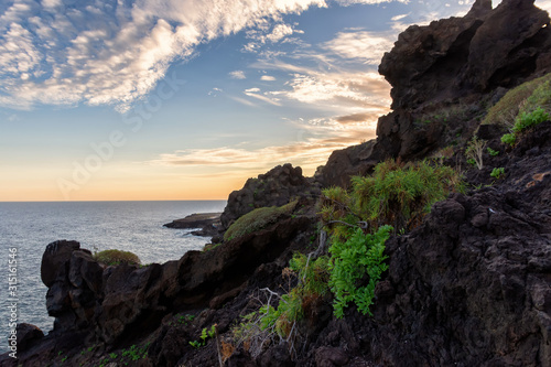  Evening on the Atlantic Ocean on Tenerife Island, volcanic slope covered with tropical desert vegetation © Andrii Marushchynets